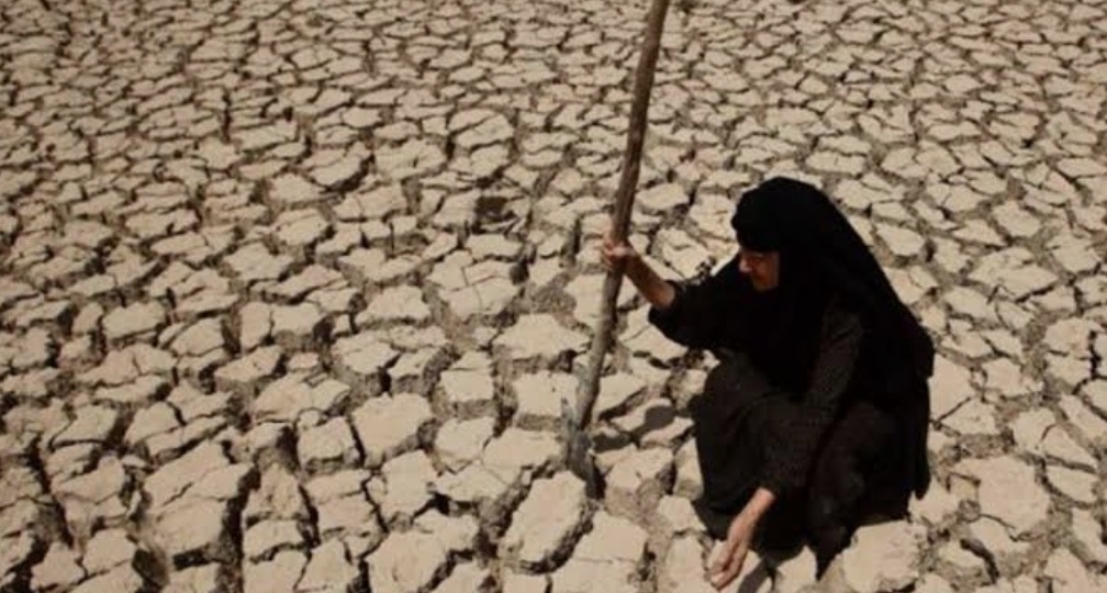 سوريا تواجه أسوأ جفاف منذ ٦٠ عاما.. القمح في خطر